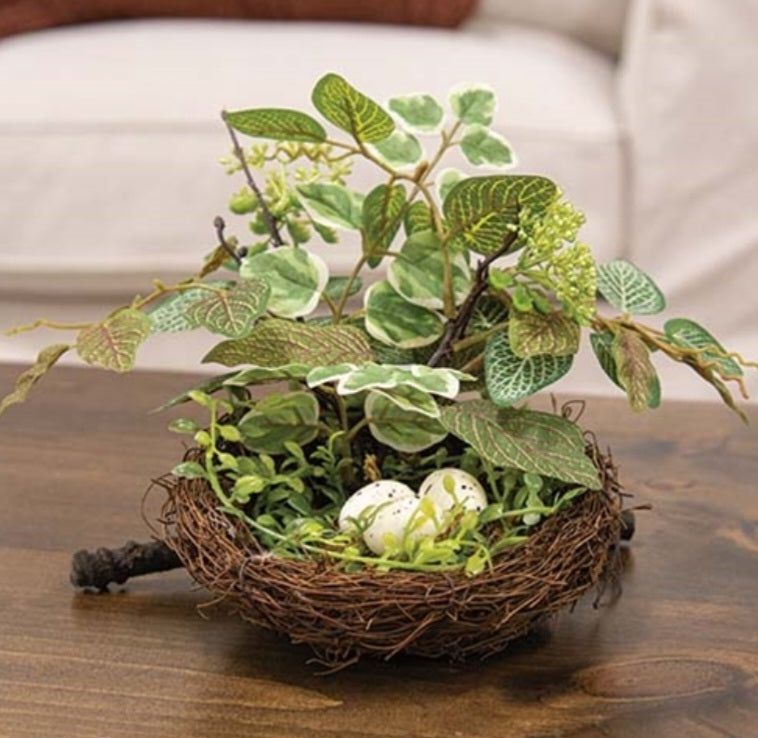 Mixed Ivy and Vine Bird Nest w/ Eggs
